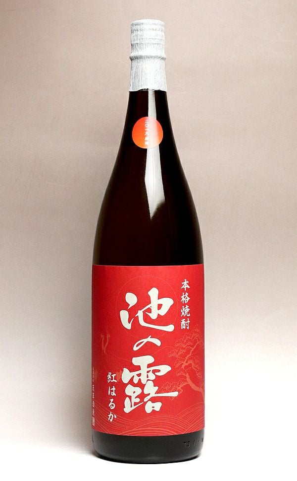 池の露 紅はるか 25度1800ml 【天草酒造】《芋焼酎》 ,| 焼酎のひご屋 本店