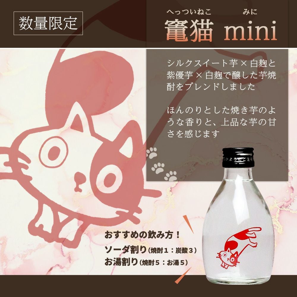 竃猫 miniと赤霧島ゼリーインチョコレートのセット