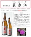 裏赤江 25度720ml