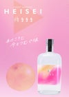 HEISEI #1999 25度 700m